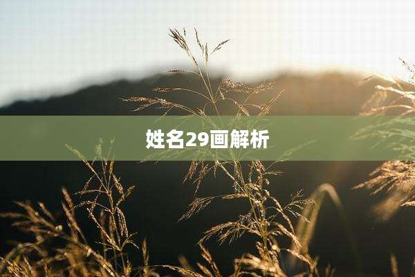姓名29画解析