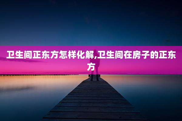 卫生间正东方怎样化解,卫生间在房子的正东方