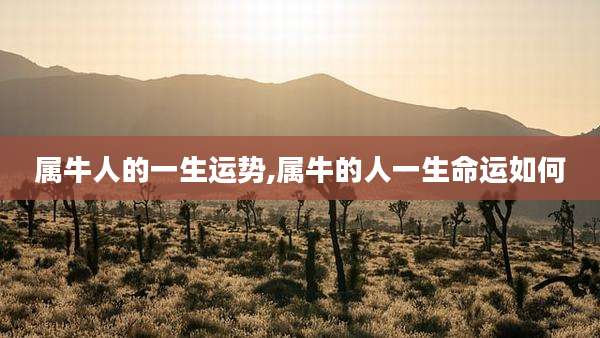 属牛人的一生运势,属牛的人一生命运如何