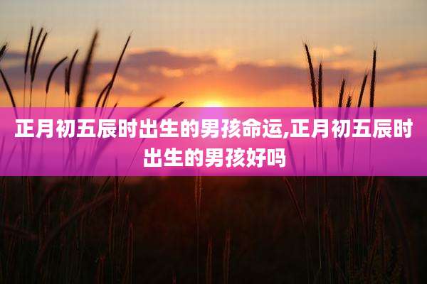 正月初五辰时出生的男孩命运,正月初五辰时出生的男孩好吗