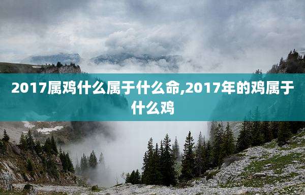 2017属鸡什么属于什么命,2017年的鸡属于什么鸡