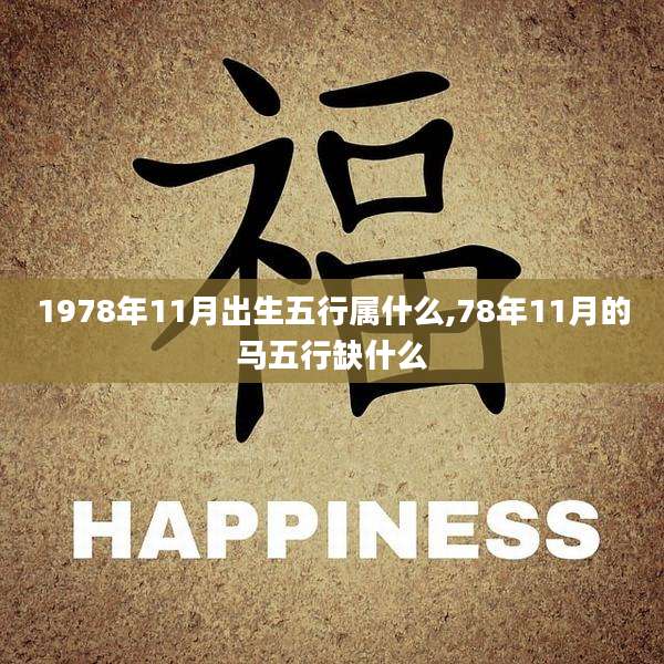 1978年11月出生五行属什么,78年11月的马五行缺什么