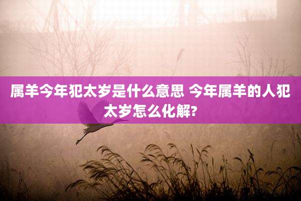 属羊今年犯太岁是什么意思 今年属羊的人犯太岁怎么化解?