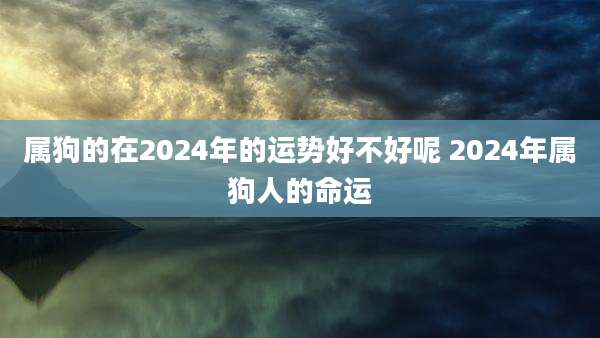 属狗的在2024年的运势好不好呢 2024年属狗人的命运