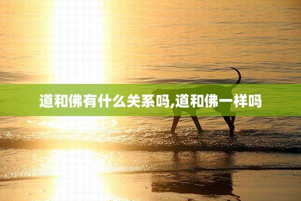 道和佛有什么关系吗,道和佛一样吗