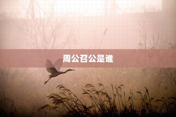 周公召公是谁