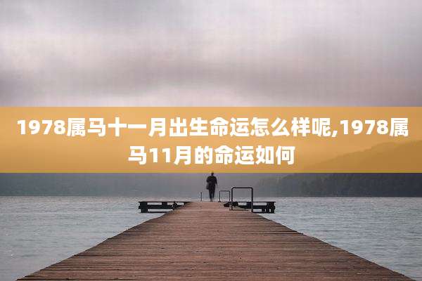 1978属马十一月出生命运怎么样呢,1978属马11月的命运如何