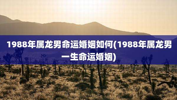 1988年属龙男命运婚姻如何(1988年属龙男一生命运婚姻)