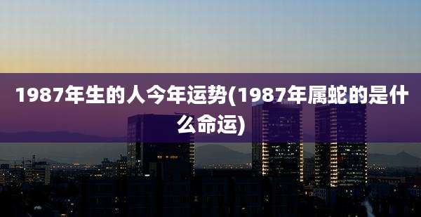 1987年生的人今年运势(1987年属蛇的是什么命运)