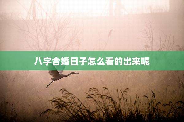 八字合婚日子怎么看的出来呢