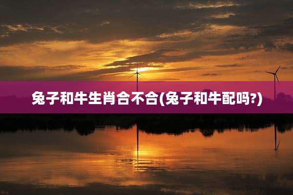 兔子和牛生肖合不合(兔子和牛配吗?)