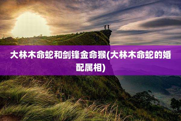 大林木命蛇和剑锋金命猴(大林木命蛇的婚配属相)