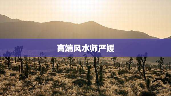 高端风水师严媛