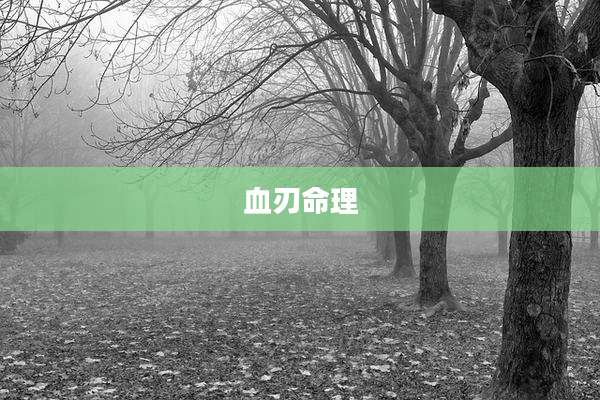 血刃命理