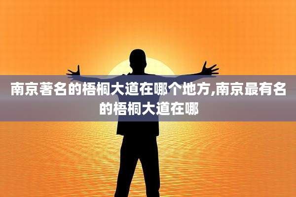 南京著名的梧桐大道在哪个地方,南京最有名的梧桐大道在哪