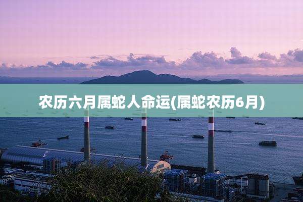 农历六月属蛇人命运(属蛇农历6月)