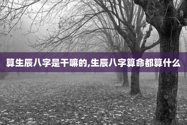 算生辰八字是干嘛的,生辰八字算命都算什么