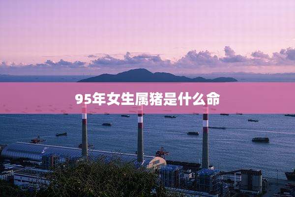 95年女生属猪是什么命