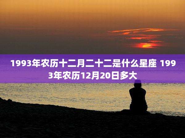 1993年农历十二月二十二是什么星座 1993年农历12月20日多大