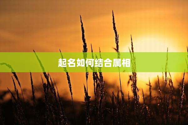 起名如何结合属相