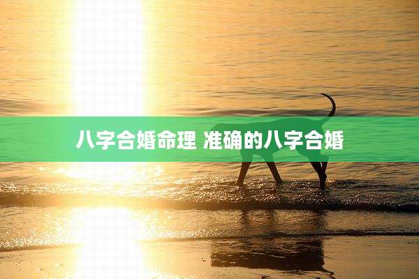 八字合婚命理 准确的八字合婚