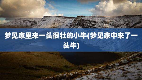 梦见家里来一头很壮的小牛(梦见家中来了一头牛)