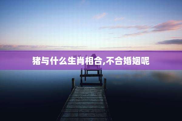 猪与什么生肖相合,不合婚姻呢