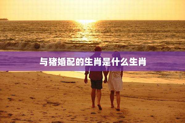 与猪婚配的生肖是什么生肖
