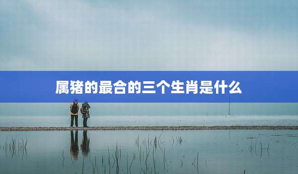 属猪的最合的三个生肖是什么