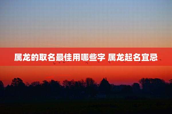 属龙的取名最佳用哪些字 属龙起名宜忌