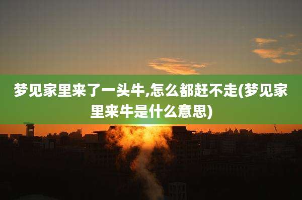 梦见家里来了一头牛,怎么都赶不走(梦见家里来牛是什么意思)