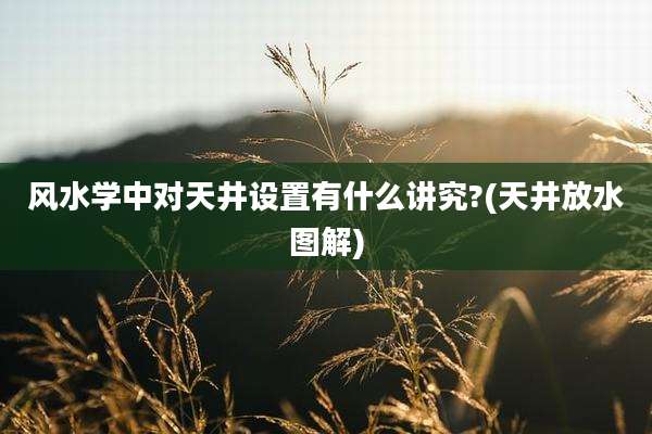 风水学中对天井设置有什么讲究?(天井放水图解)
