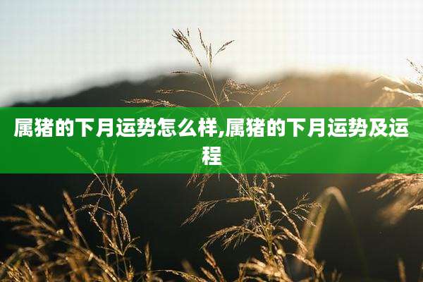 属猪的下月运势怎么样,属猪的下月运势及运程