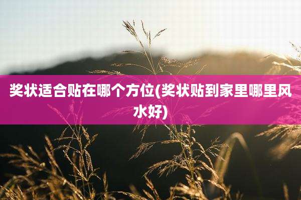 奖状适合贴在哪个方位(奖状贴到家里哪里风水好)