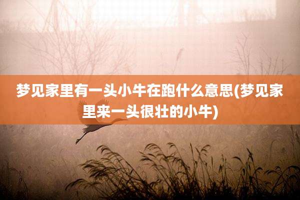 梦见家里有一头小牛在跑什么意思(梦见家里来一头很壮的小牛)