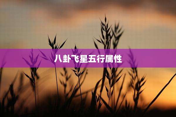 八卦飞星五行属性