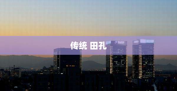 传统 田孔