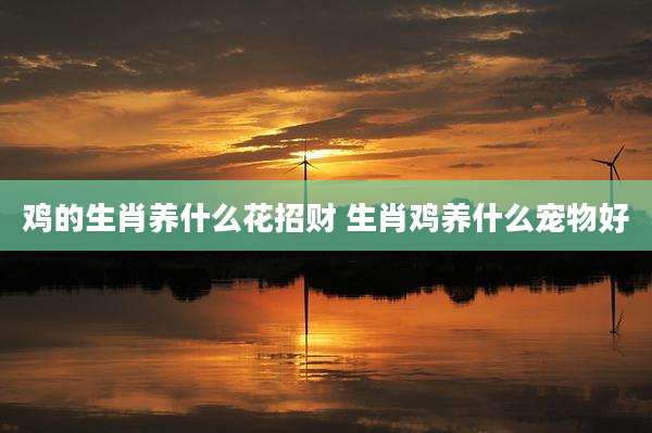 鸡的生肖养什么花招财 生肖鸡养什么宠物好