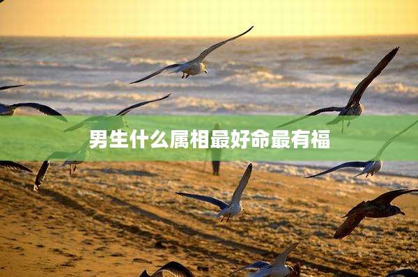 男生什么属相最好命最有福