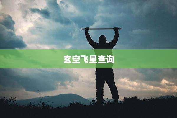玄空飞星查询