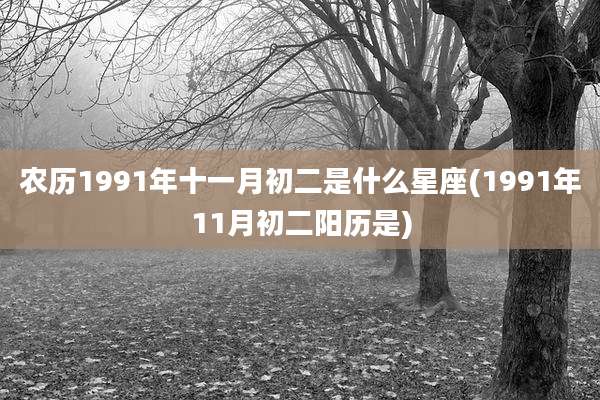 农历1991年十一月初二是什么星座(1991年11月初二阳历是)