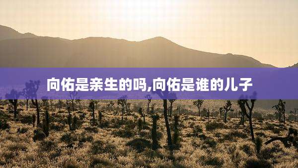 向佑是亲生的吗,向佑是谁的儿子