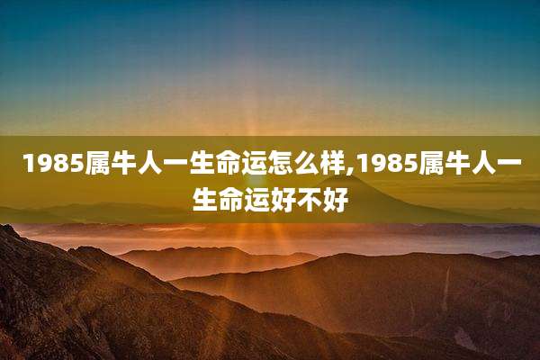 1985属牛人一生命运怎么样,1985属牛人一生命运好不好
