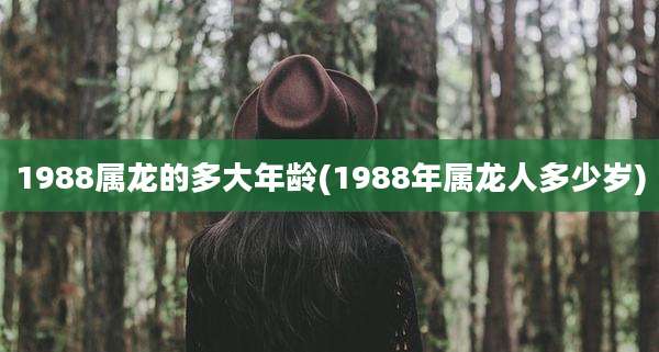 1988属龙的多大年龄(1988年属龙人多少岁)