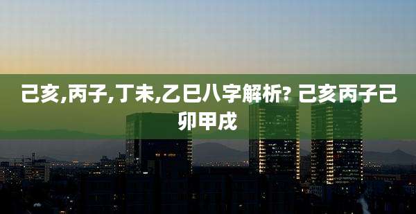 己亥,丙子,丁未,乙巳八字解析? 己亥丙子己卯甲戌