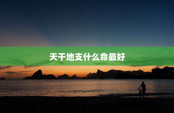 天干地支什么命最好