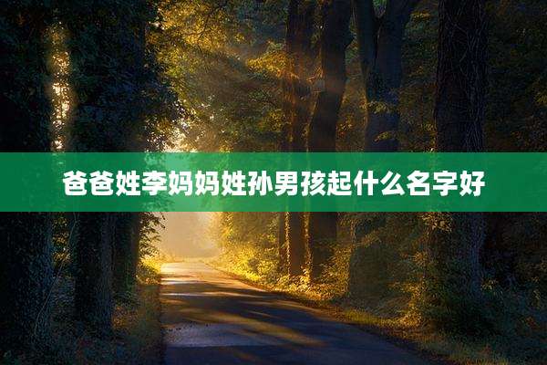 爸爸姓李妈妈姓孙男孩起什么名字好