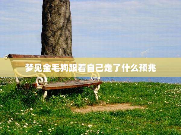 梦见金毛狗跟着自己走了什么预兆