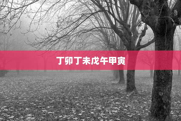 丁卯丁未戊午甲寅