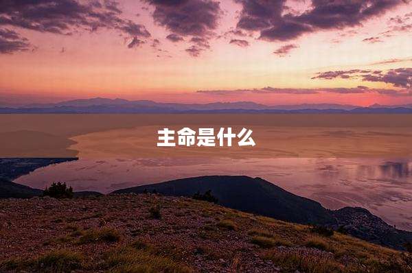 主命是什么